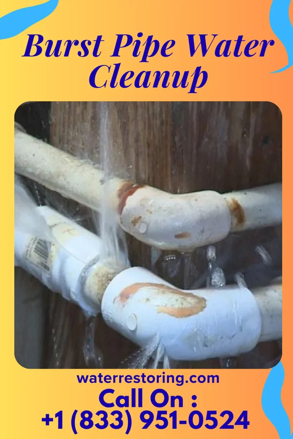 Burst Pipe Water Cleanup in Etna, PA
