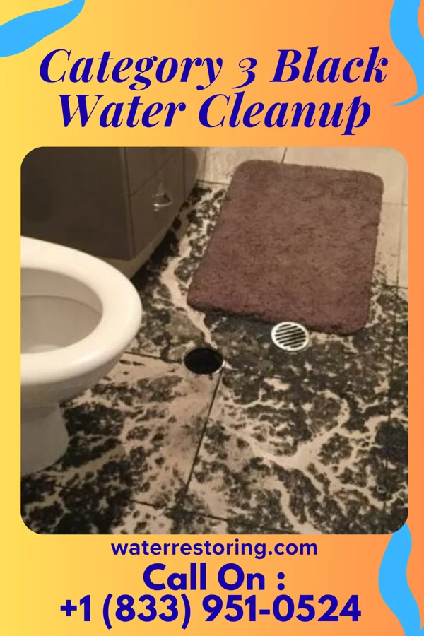 Category 3 Black Water Cleanup in Etna, PA