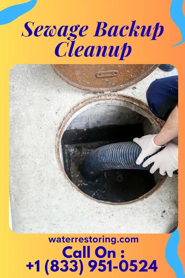 Sewage Backup Cleanup in Etna, PA