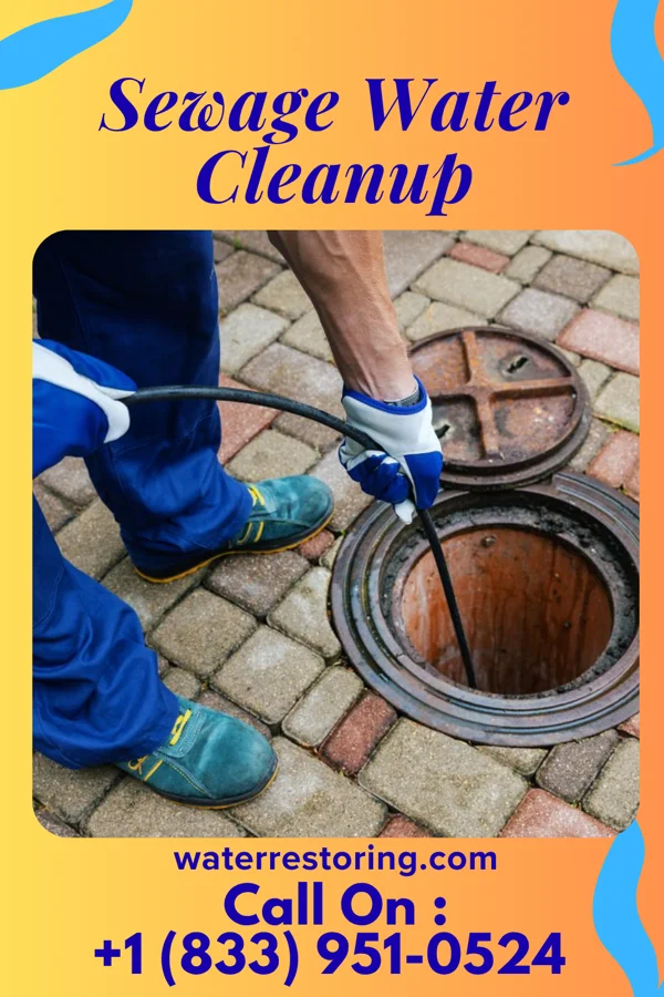 Sewage Water Cleanup in Etna, PA